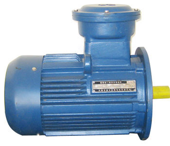 Explosion-proof Three-phase Induction Small Electric Motor for Undergr