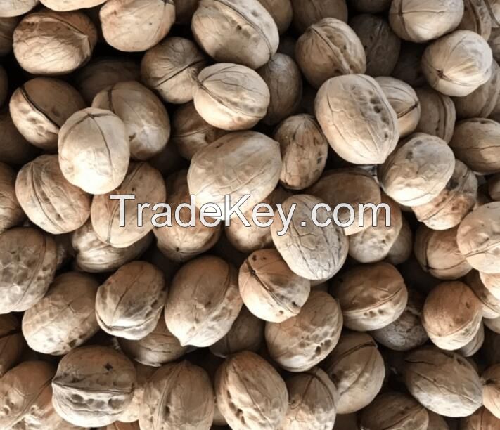 Walnut kernels, walnut in shell
