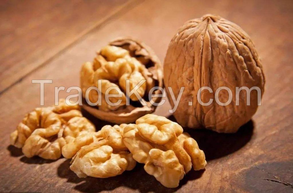 Walnut kernels, walnut in shell