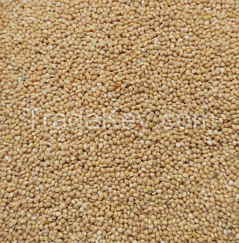 millet (white, yellow, red)