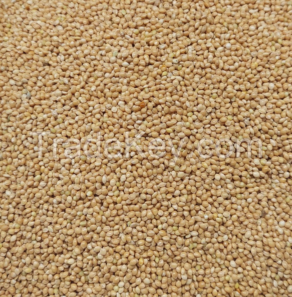 white millet