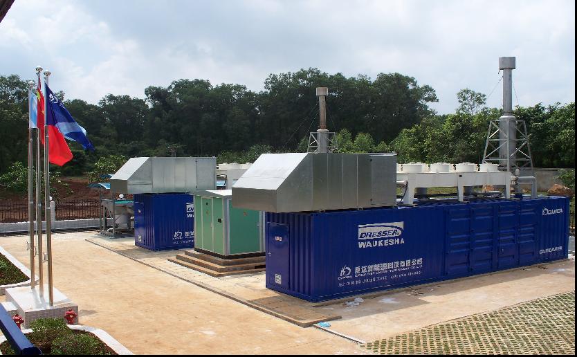 Biogas and natural gas power project