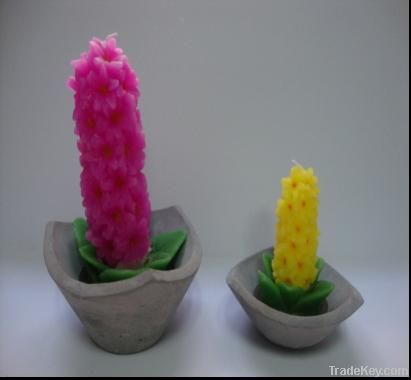 cactus plant flower paraffin wax candle with cement candle holder