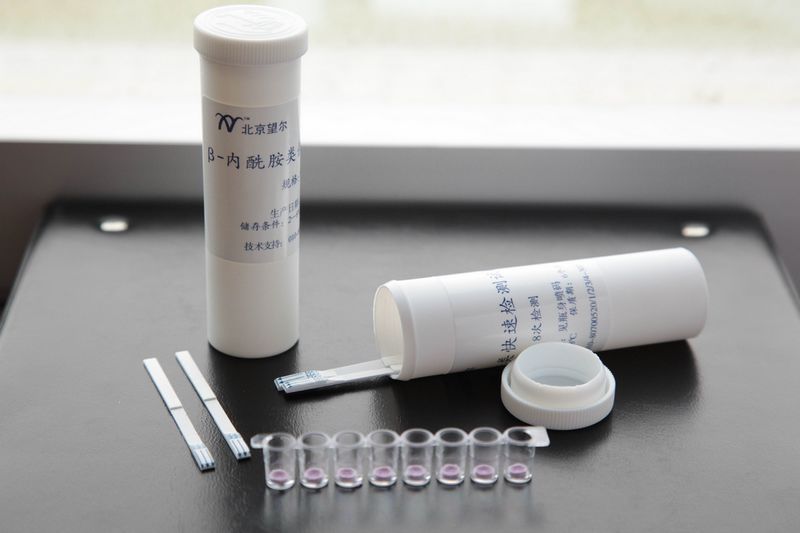 Beta-lactams &amp; tetracycline Test Strip