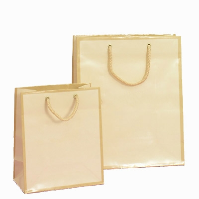 gloss laminated paper bag