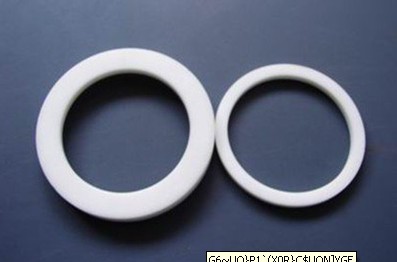 PTFE gasket