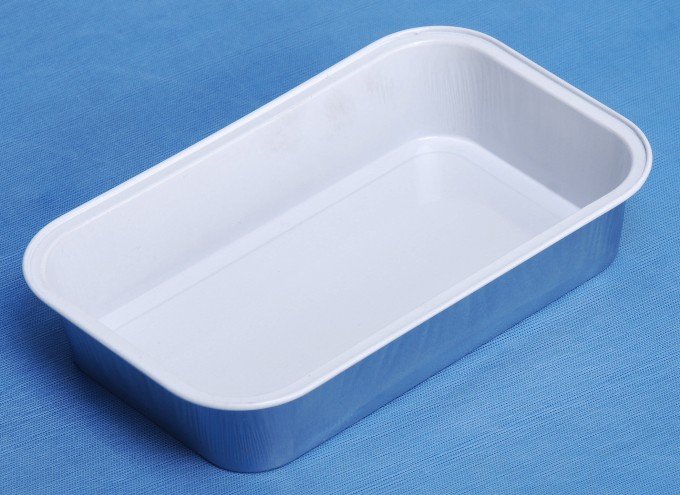 Airline/Train Food Container