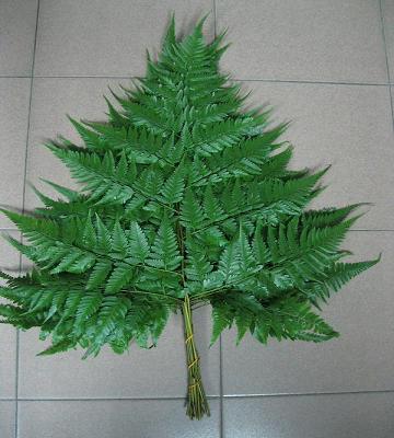 FRESH CUT LEATHER FERN