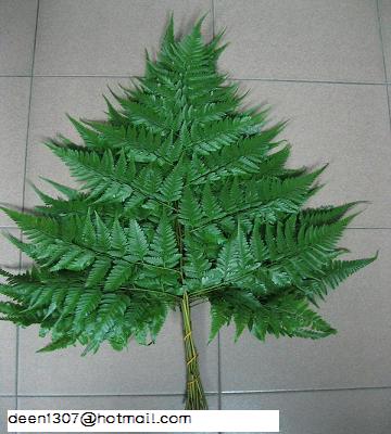 FRESH CUT LEATHER FERN