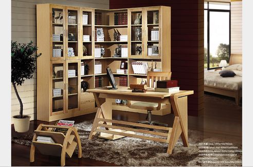 Modern study room furniture(bookcases and shelves)