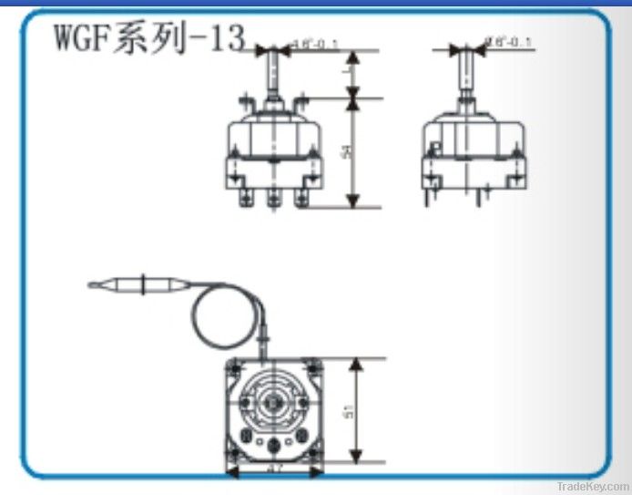 WGS Series Thermostat