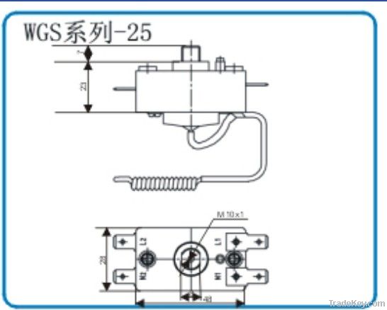 WGS Series Thermostat