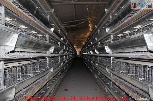 chicken farm