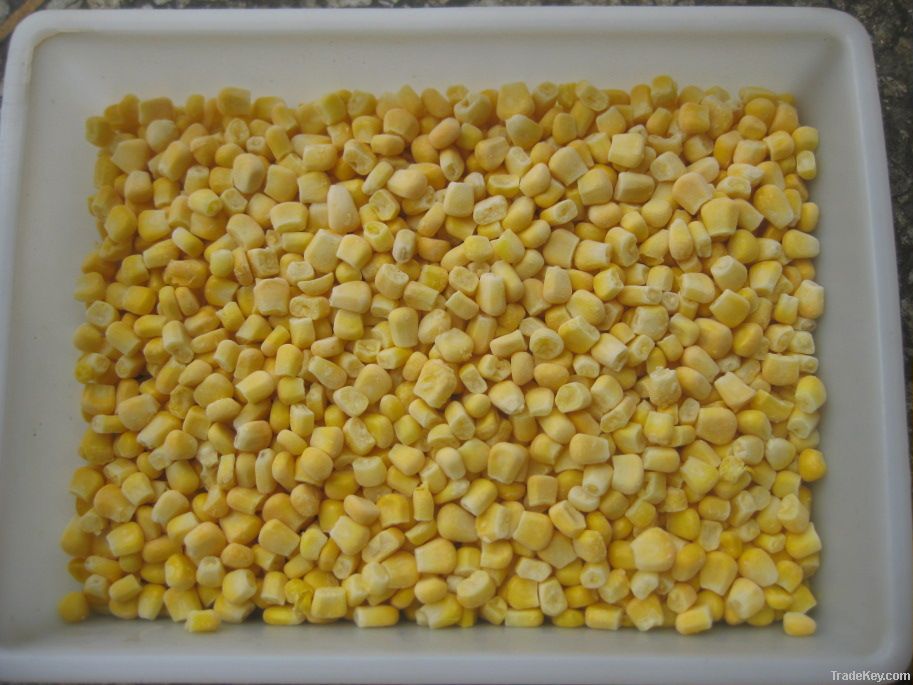 IQF sweet corn kernels