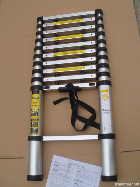 Telescopic Ladder