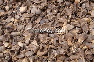 Palm Kernel Shell