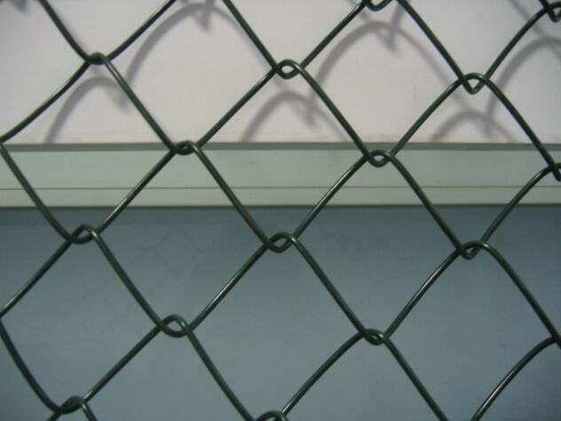 chain link wire mesh/50mm cell pvc coating fence/garden security wire mesh fence