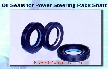 oil seal for power steering rack shaft