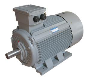 EG series three-phase industrial standard motors