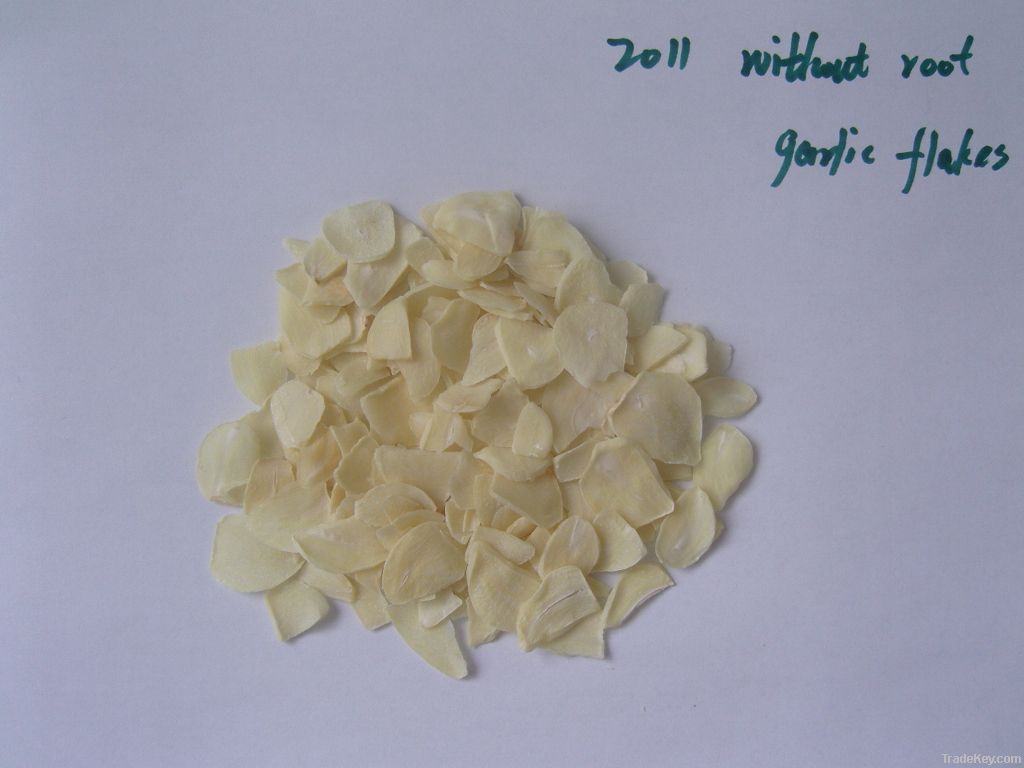 2013 garlic product