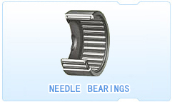 Needle Bearing