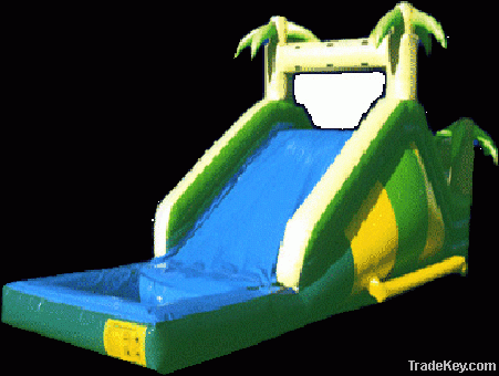 fun inflatable pool slide