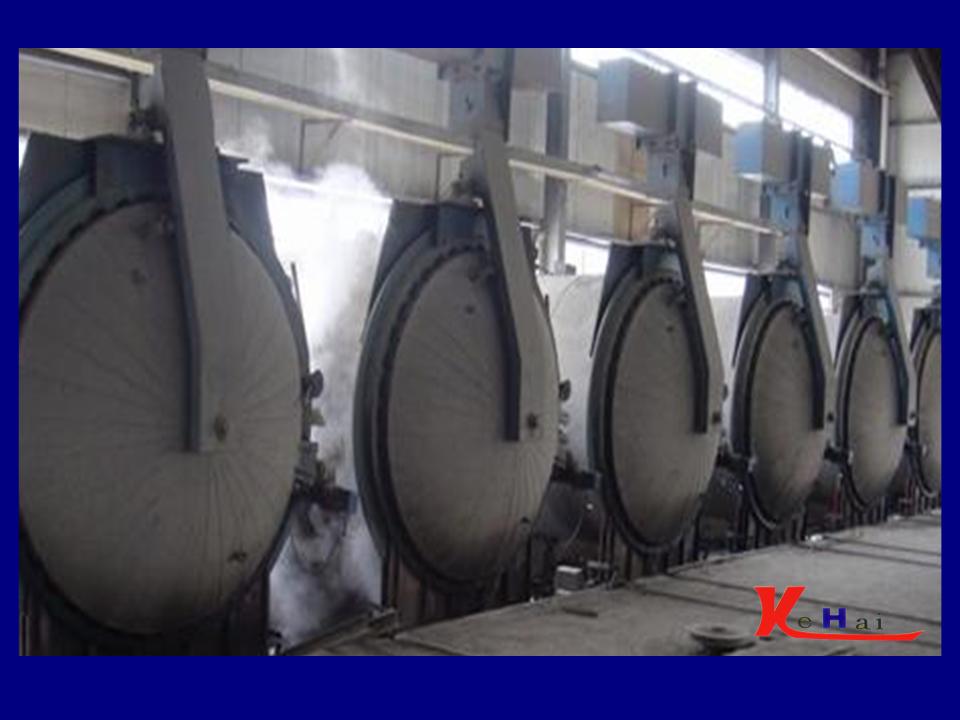 AAC Plant (Aerated autoclaved concrete machine)