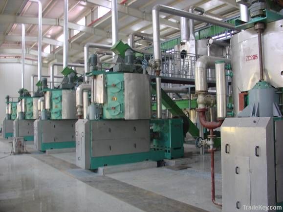 Hydraulic Oil Press Machine