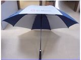 FU-0011 30â€*8K Auto open golf umbrella(double layers)