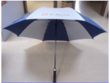 FU-0011 30&acirc;€*8K Auto open golf umbrella(double layers)