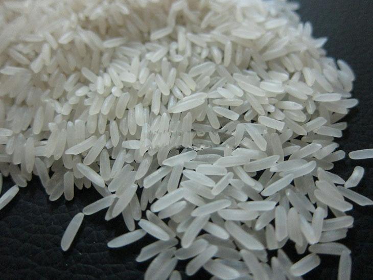 Premium Jamine Rice from Cambodia