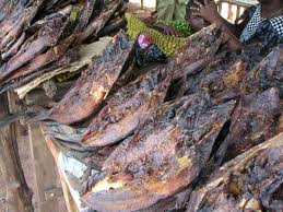 dried fish ( tuna )