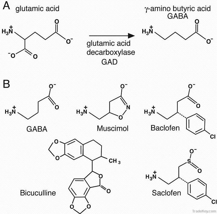 gamma aminobutyric acid(GABA)/56-12-2