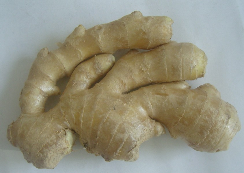 fresh ginger