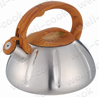 Stainless Steel Whistling Tea Kettle