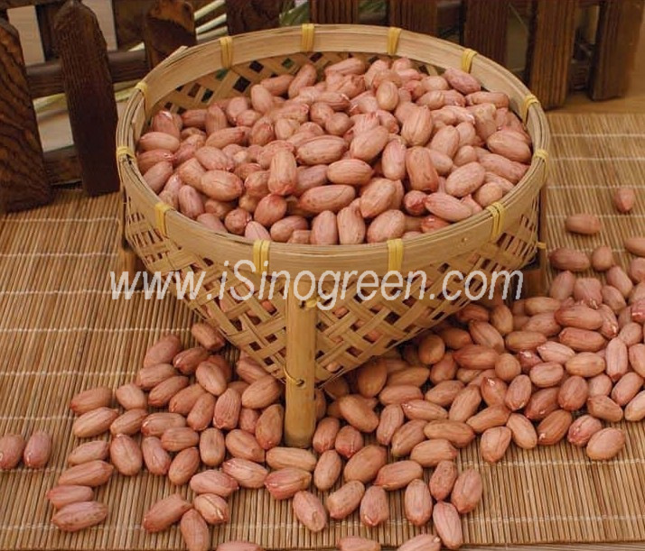 Chinese Peanuts Kernels, crop 2010/2011
