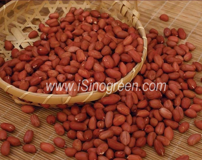 Chinese Peanuts Kernels, REDSKIN