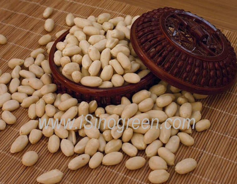 Chinese Peanuts blanched Kernels,