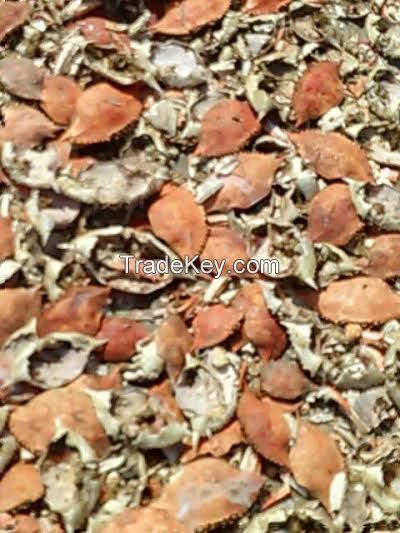 crab shells dried
