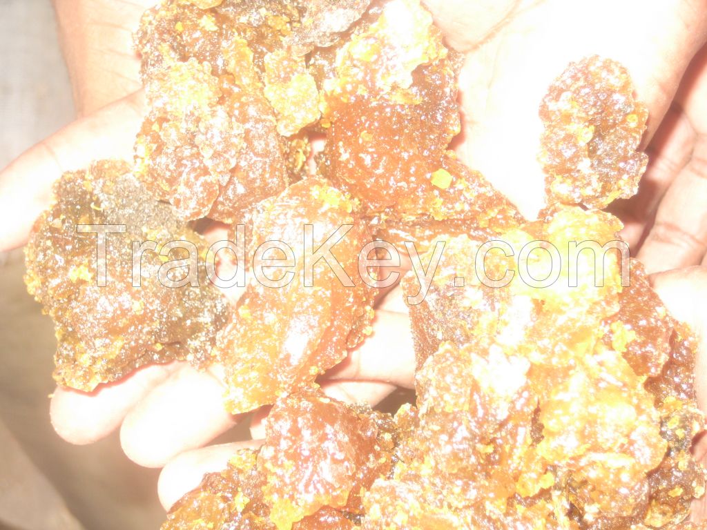 Frankincense and Myrrh gum resins