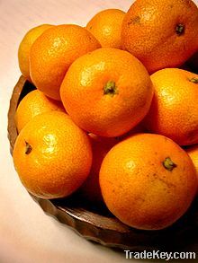 Citrus Fruits