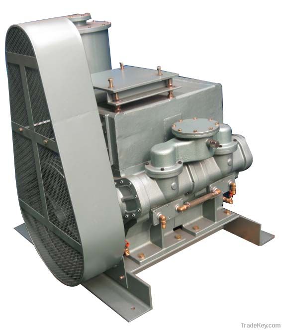 Oil Rotary Piston Vacuum Pump Big Model