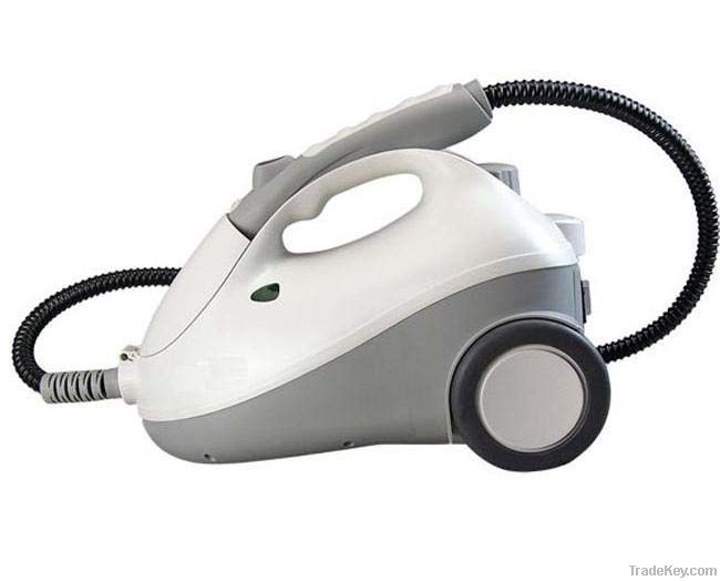 Vapor cleaning machine for home and garden