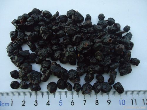 Dried Blueberry