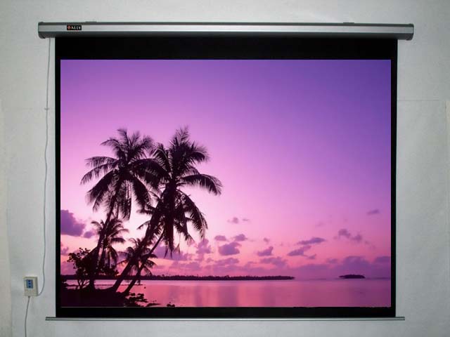 Top Grade Motorized Screen with Remote Control (Tubular motor)