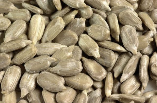 New Crop Sunflower Seeds Suppliers | Sunflower Seed Exporters, | Sunflower Black Seed  | Striped Black Seed | Flowers Seed | Sunflower Kernels