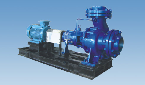 API610 OH1 Pump Type ZAD