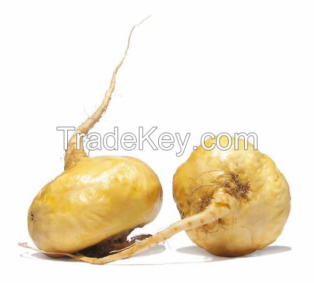 Organic Maca Capsules