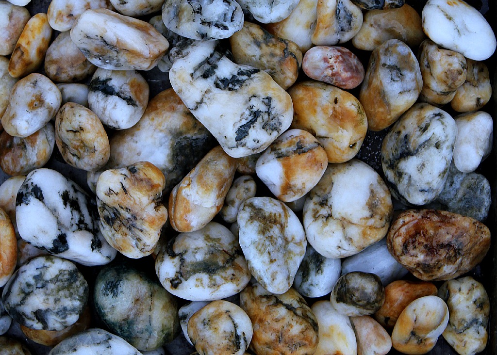 Pacific Northwest Patterned Beach Agates