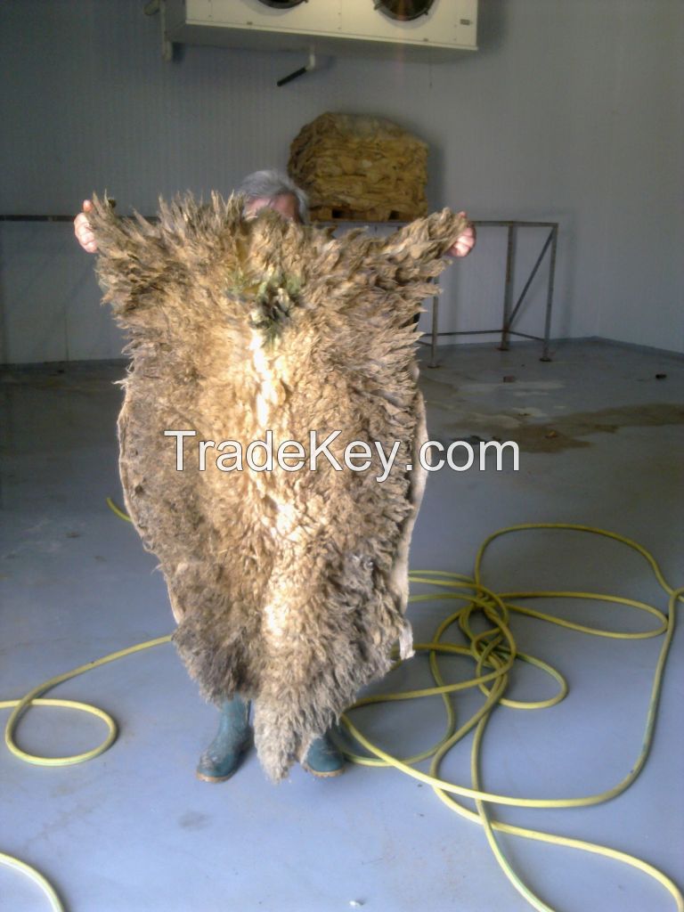 WET SALTED CATTLE HIDES